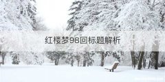 红楼梦98回标题解析