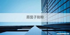 蒜茄子别称