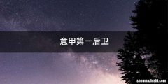 意甲第一后卫