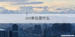 cnt单位是什么
