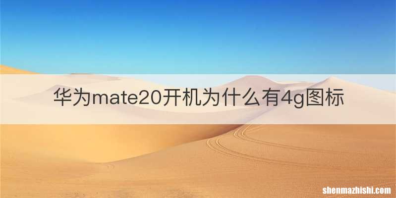 华为mate20开机为什么有4g图标