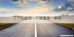 三只松鼠和一只狐狸是一家吗