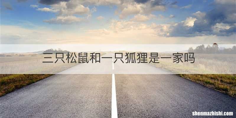 三只松鼠和一只狐狸是一家吗