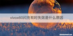 vivox60闪充有时失效是什么原因