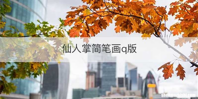 仙人掌简笔画q版