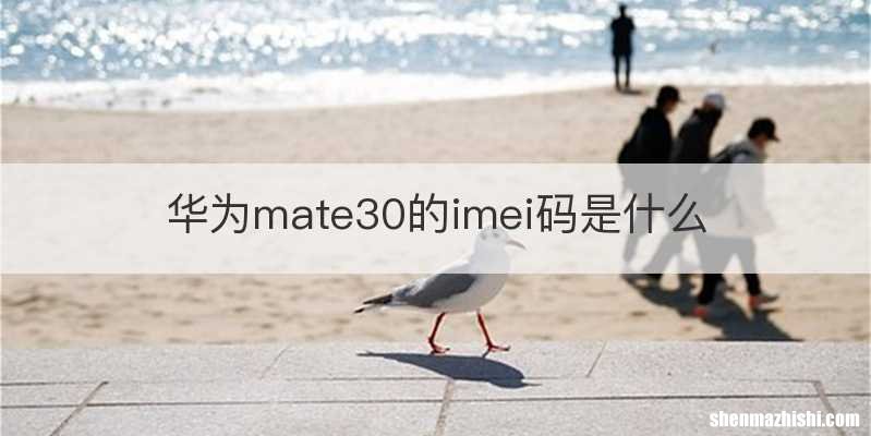 华为mate30的imei码是什么