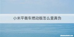 小米平衡车燃动版怎么查真伪