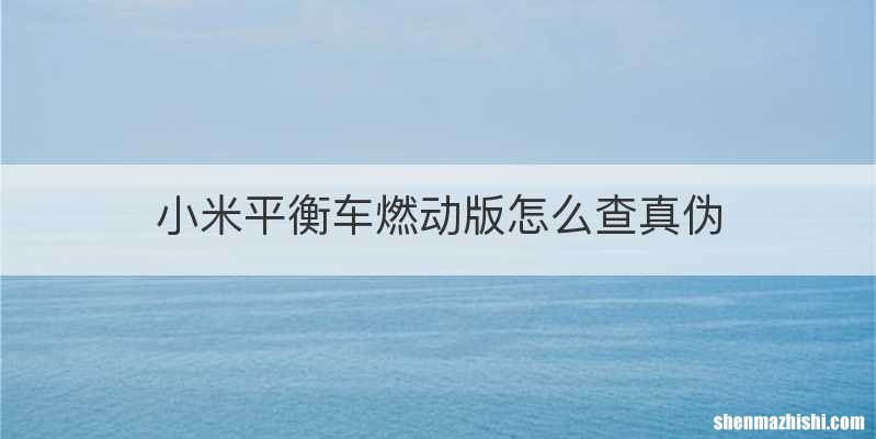 小米平衡车燃动版怎么查真伪