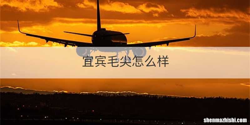 宜宾毛尖怎么样