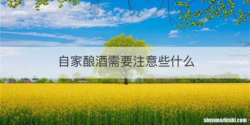 自家酿酒需要注意些什么