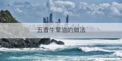 五香牛荤油的做法