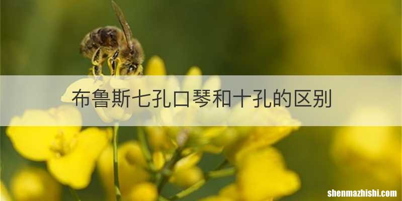 布鲁斯七孔口琴和十孔的区别