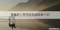 布鲁斯口琴传统和调音那个好
