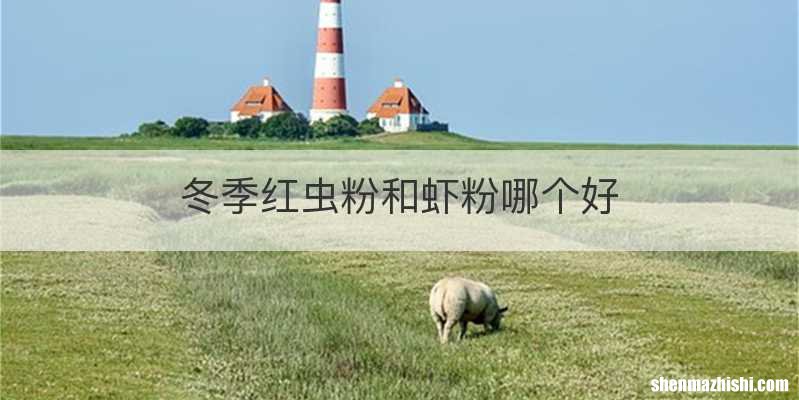 冬季红虫粉和虾粉哪个好