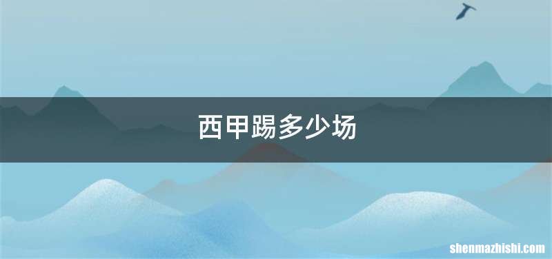 西甲踢多少场