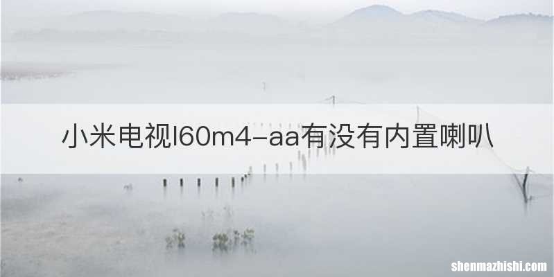 小米电视l60m4-aa有没有内置喇叭