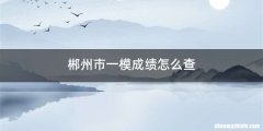 郴州市一模成绩怎么查