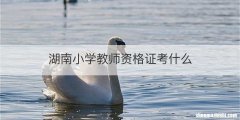 湖南小学教师资格证考什么