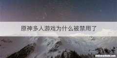 原神多人游戏为什么被禁用了
