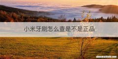 小米牙刷怎么查是不是正品