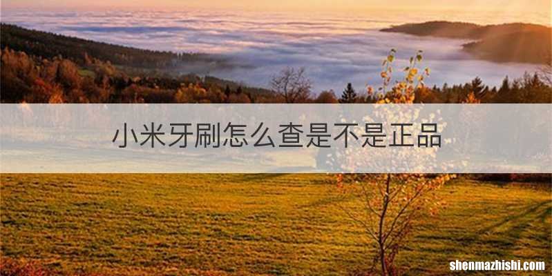 小米牙刷怎么查是不是正品