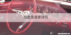 相思落谁家诗句