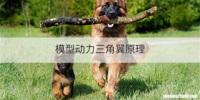 模型动力三角翼原理