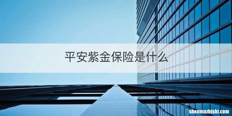 平安紫金保险是什么