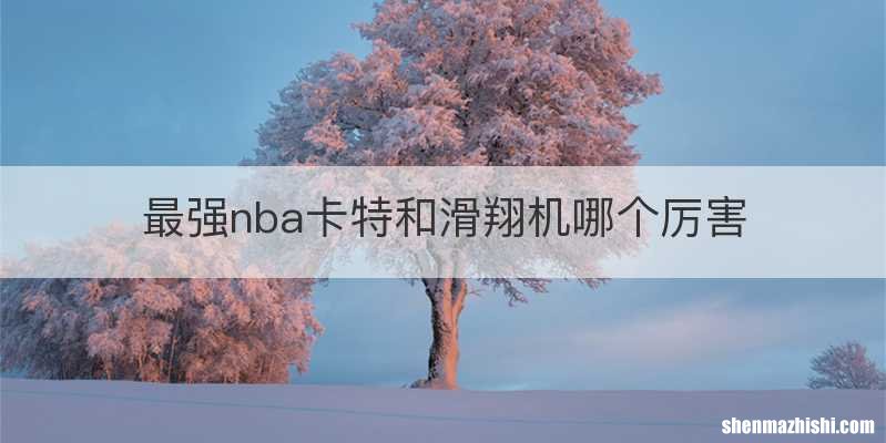最强nba卡特和滑翔机哪个厉害