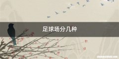 足球场分几种