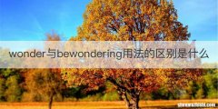wonder与bewondering用法的区别是什么
