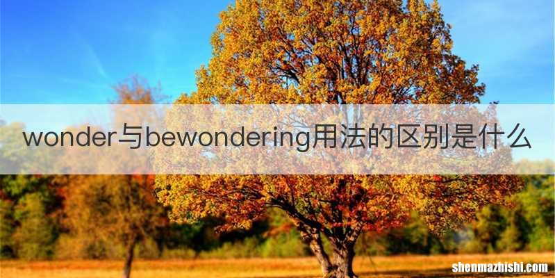wonder与bewondering用法的区别是什么