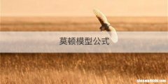 莫顿模型公式