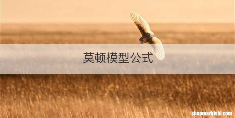 莫顿模型公式