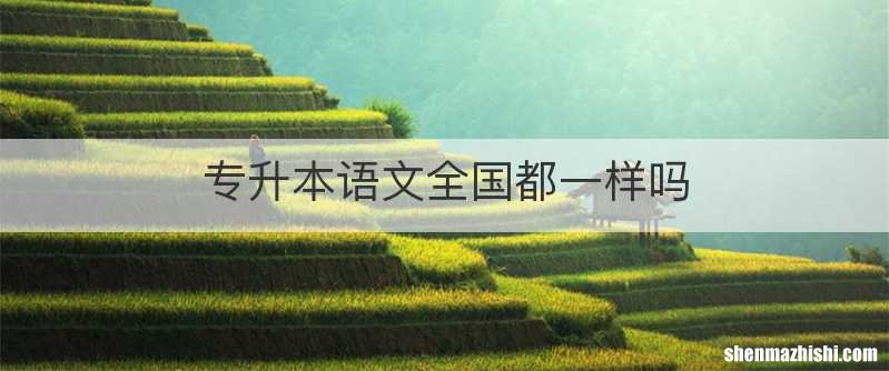 专升本语文全国都一样吗