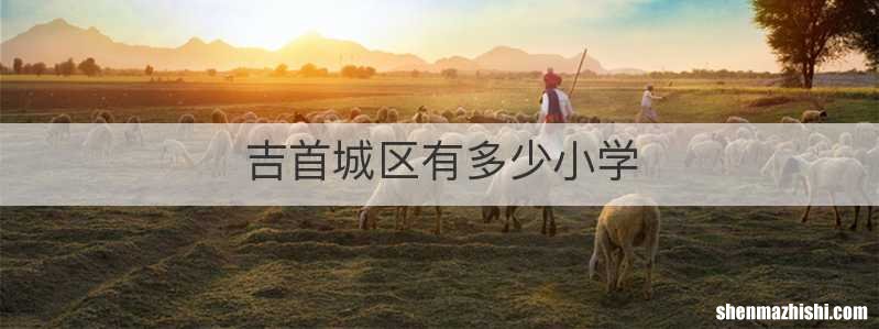 吉首城区有多少小学