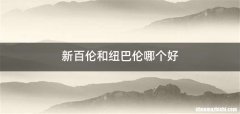 新百伦和纽巴伦哪个好