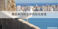 威海海洋职业学院校花是谁
