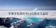 苹果手机序列号10位数是正品吗