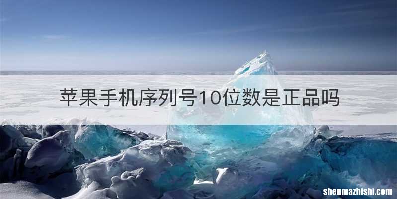 苹果手机序列号10位数是正品吗