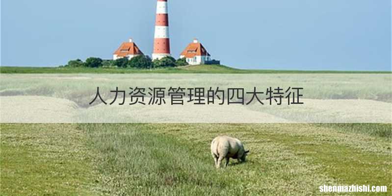 人力资源管理的四大特征