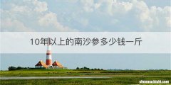 10年以上的南沙参多少钱一斤