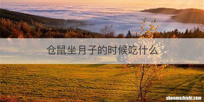 仓鼠坐月子的时候吃什么
