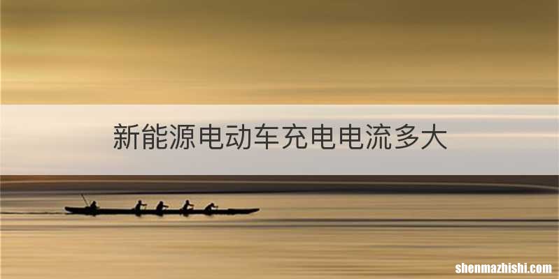 新能源电动车充电电流多大