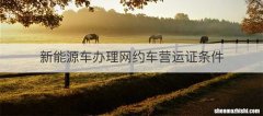新能源车办理网约车营运证条件