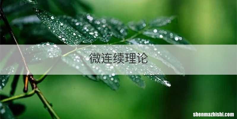 微连续理论