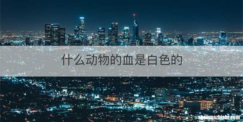 什么动物的血是白色的