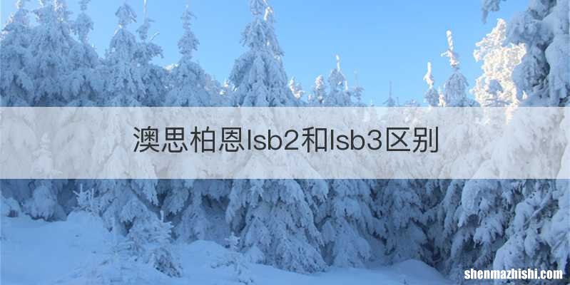 澳思柏恩lsb2和lsb3区别