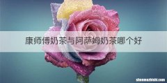 康师傅奶茶与阿萨姆奶茶哪个好