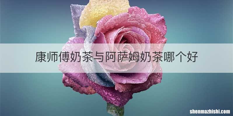 康师傅奶茶与阿萨姆奶茶哪个好